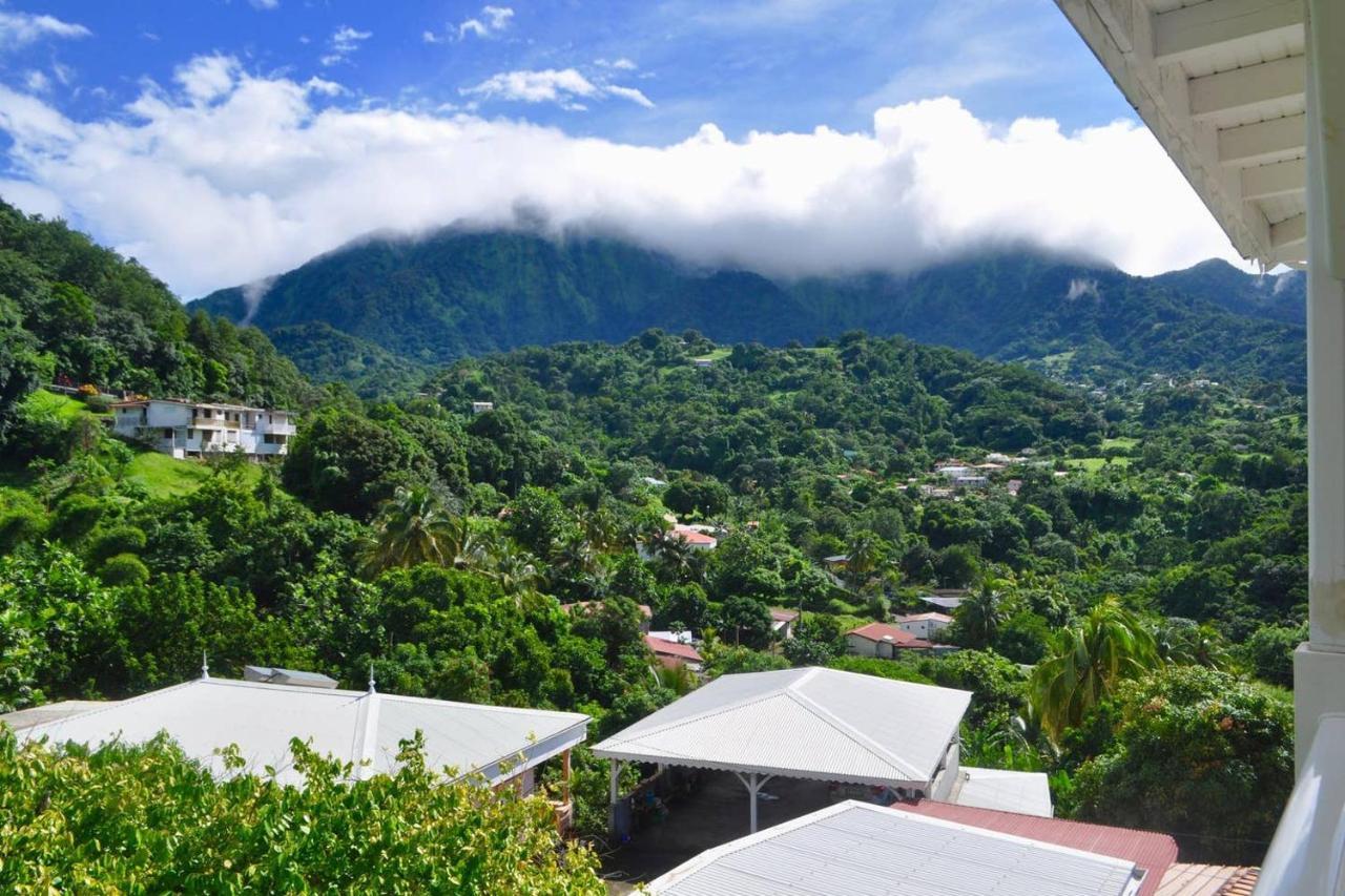 Le Colibri Vert Le Morne-Vert 外观 照片